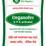 Plant Fertilizer in Maharashtra
