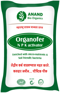 Plant Fertilizer in Maharashtra