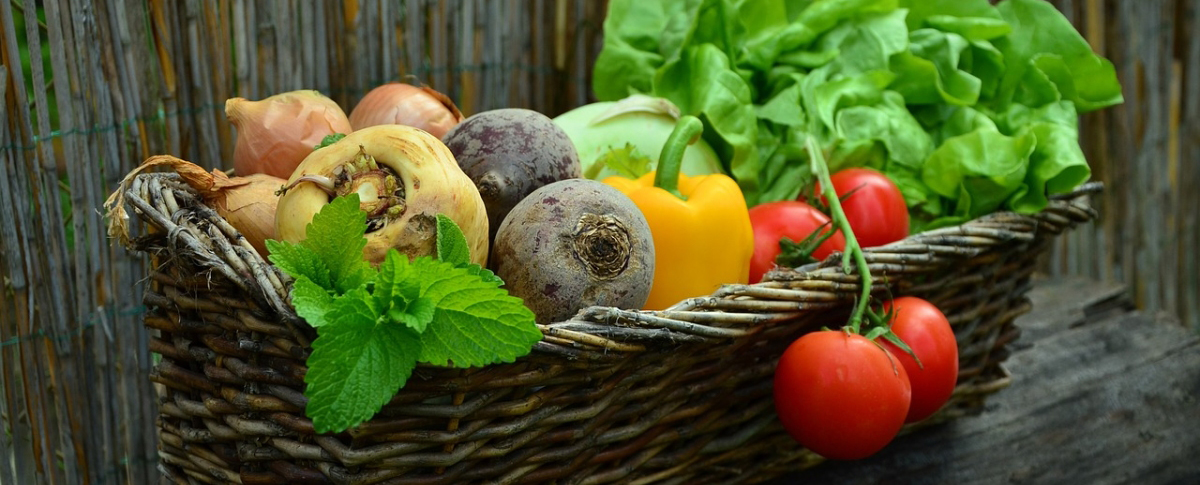 vegetable-basket