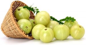 Amla (Indian Gooseberry) |Phyllanthus emblica |AnandBio Organics