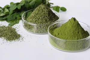 Moringa Leaf|Moringa leaf Powder|AnandBio Organics
