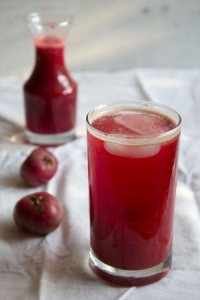 Kokum|Garcinia indica|AnandBio Organics